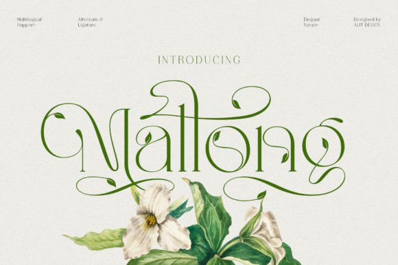 Mallong: Where Organic Beauty Meets Classic Serif Design