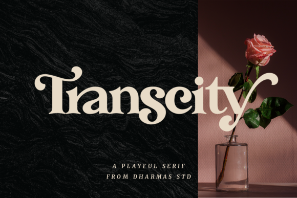 Transcity: Elevating Modern Typography with Elegance